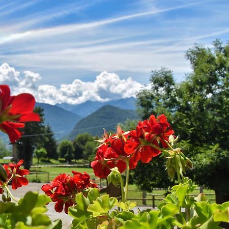 Albergo Ristorante Innocenti Ardenno Luaran gambar